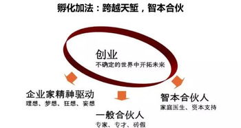 金華科技園創(chuàng)業(yè)服務(wù)中心 研發(fā)與技術(shù)咨詢的雙引擎驅(qū)動
